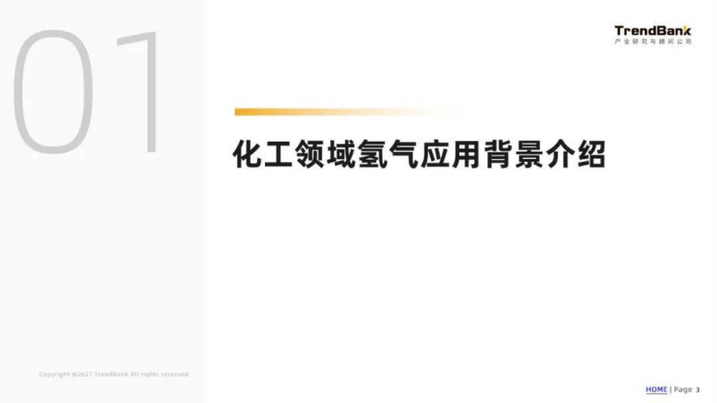 第3页预览