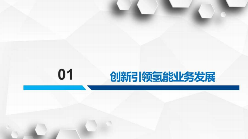 第3页预览