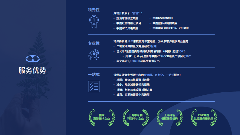 第3页预览