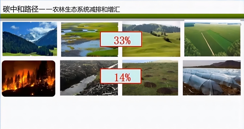 第2页预览