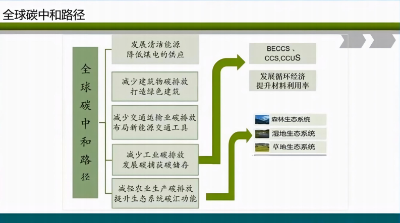 第3页预览
